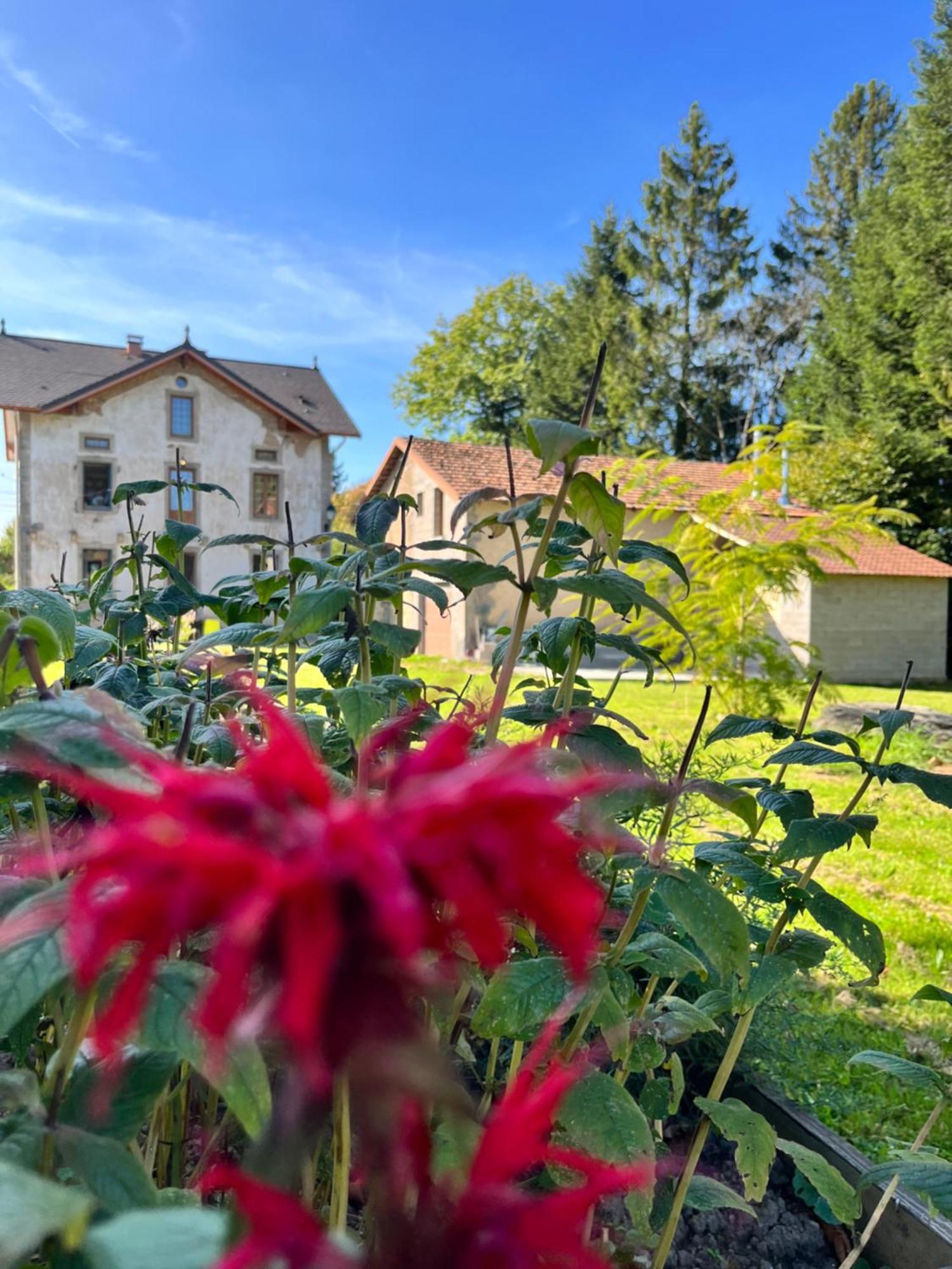 Chambre D'Hote Cosy Domaine Du Bagnerot La Chapelle-aux-Bois Exterior foto